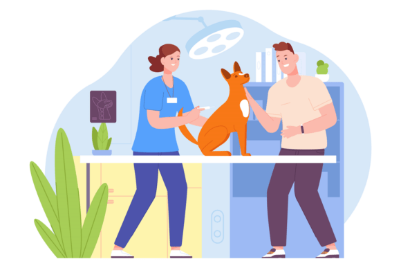 Doctor Check Dog Health. Veterinary Clin
