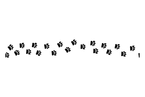 Dog Footprints Trail. Puppy Footstep Bla